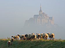 Der Mont-Saint-Michel am Septembermorgen, 15. September 2011, Foto: Vlachenko, Wikimedia Commons